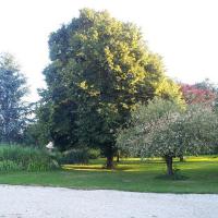 Location vacances La Barillère : Grand jardin - big garden